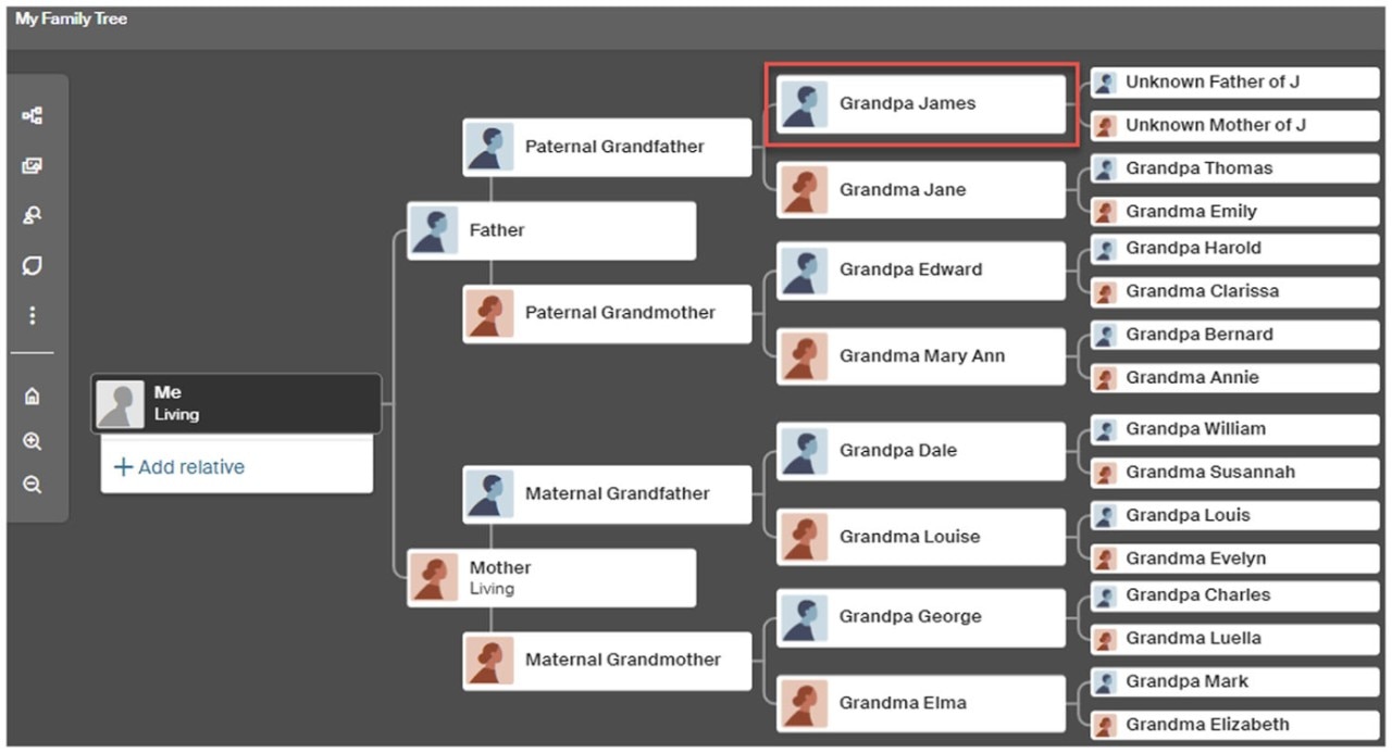 Family Tree of DNA Matches