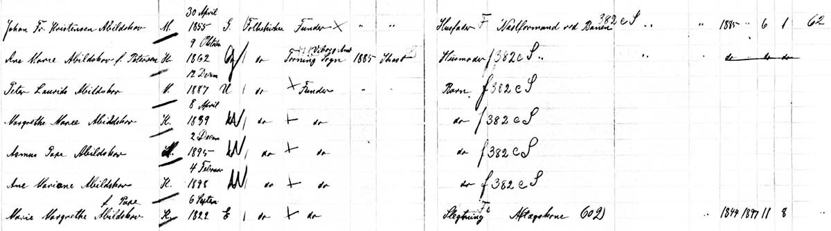 The Abildskov family in the 1901 Denmark Census, Ancestry.com