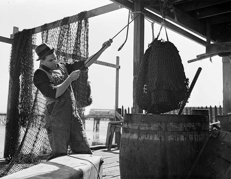 Provincetown, Massachusetts. Portuguese ship chandler dipping nets in oil preservatives, 1942, Library of Congress