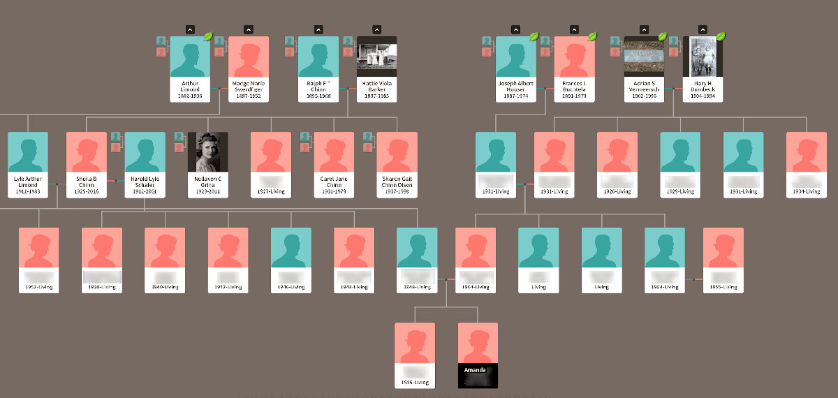 The auhor's family tree.