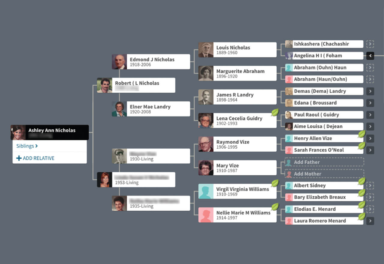 The Nicholas family tree.