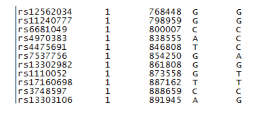 Segment of raw DNA data.