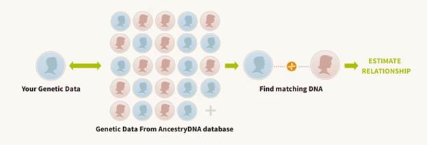 dna