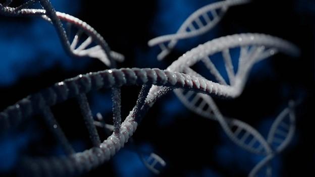 3D DNA (High contrast), 2021, Wikimedia Commons