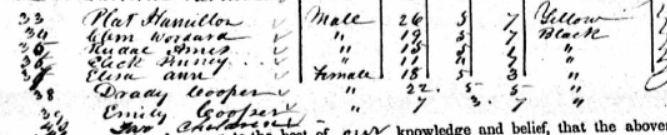 plat hamilton