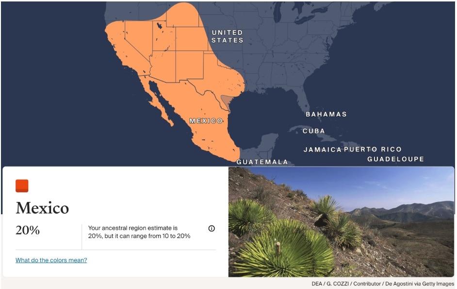 Reading Your Ethnicity Estimate 1