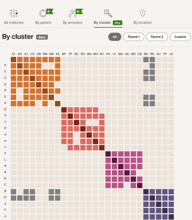 DNA matches by cluster
