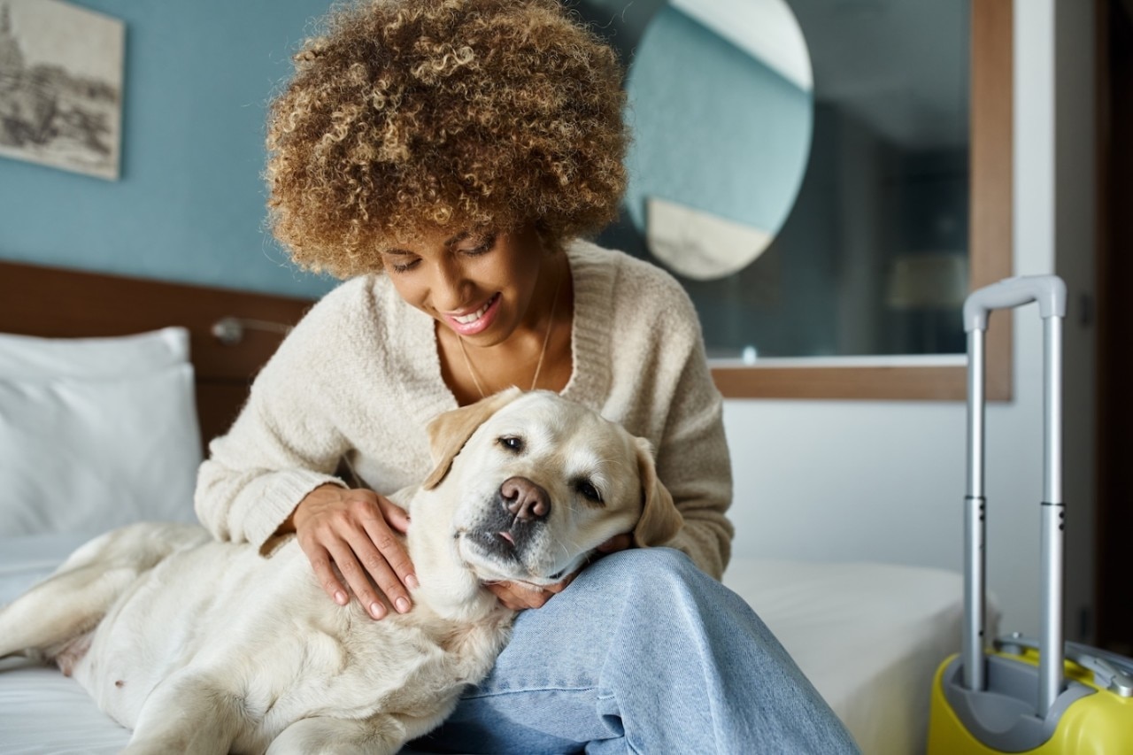 young and cheerful african american woman cuddling labrador near luggage in pet-friendly hotel room