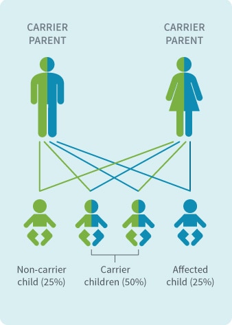 DNA profiling — Science Learning Hub