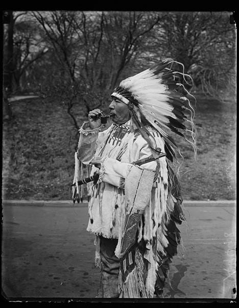 Back to the Ancestral Roots: A Story of Native American Heritage Month
