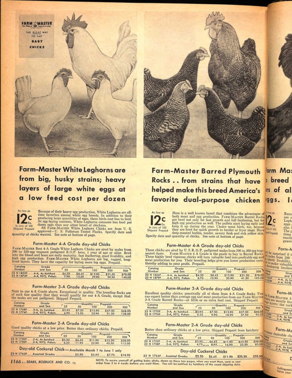 11 Unbelievable Items from the Sears Catalog