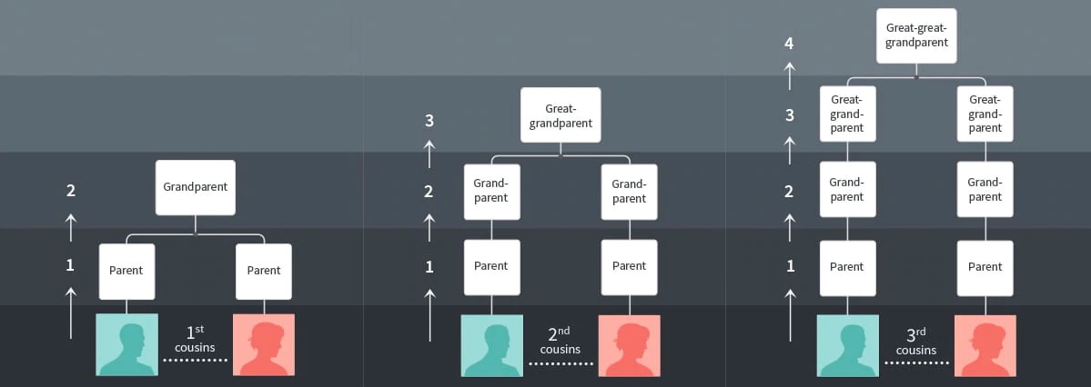 Cousin Chart: Cousins, Second Cousins, and More | AncestryDNA® Learning Hub