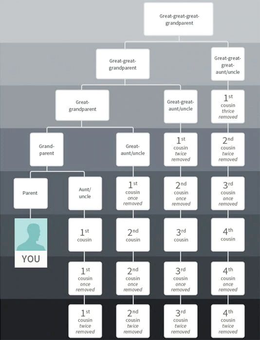 Cousin Chart Cousins, Second Cousins, and More AncestryDNA® Learning Hub