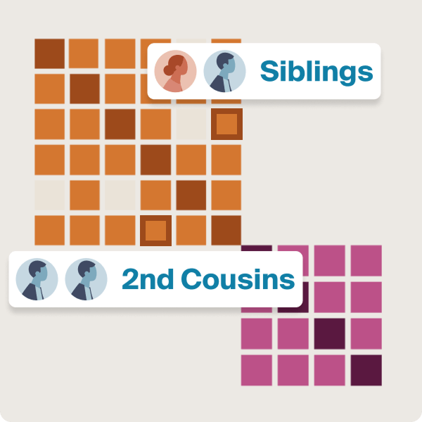 An illustrated representation of the Matches by Cluster user interface.