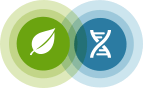Ancestry® Gift Memberships and AncestryDNA®